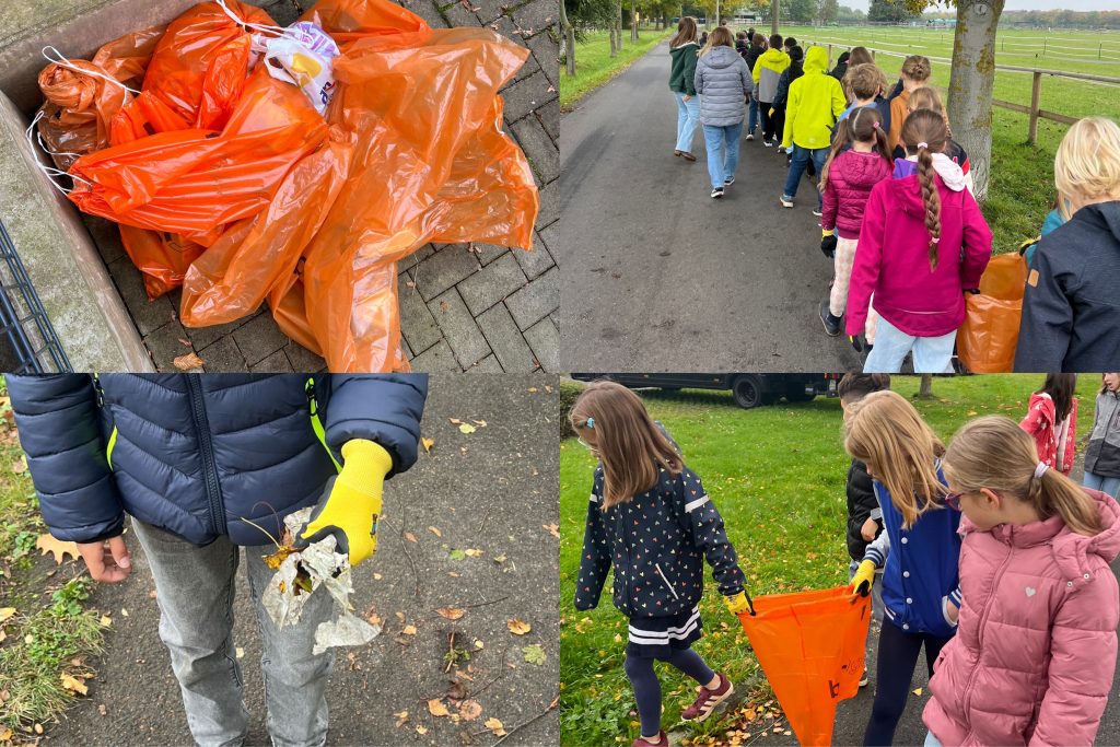 Aktion-Bonn-Picobello